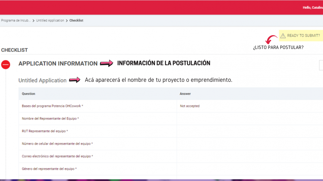 Guía para emprendedores de la sexta región: Resúmen de tu postulación