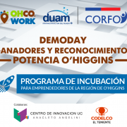 DemoDay Programa de Incubación Potencia O´Higgins OHCowork